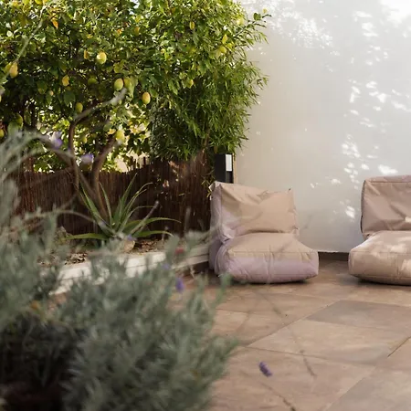 Casa Limone - With Private Courtyard Apartment